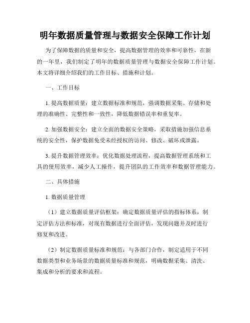 明年数据质量管理与数据安全保障工作计划