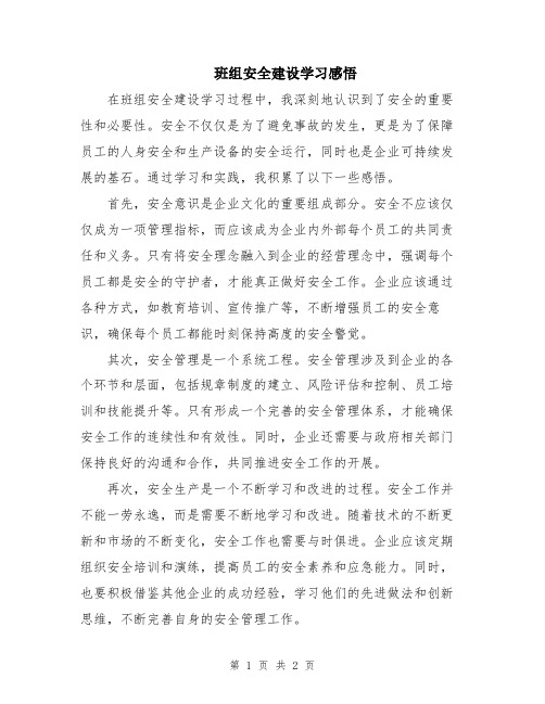 班组安全建设学习感悟