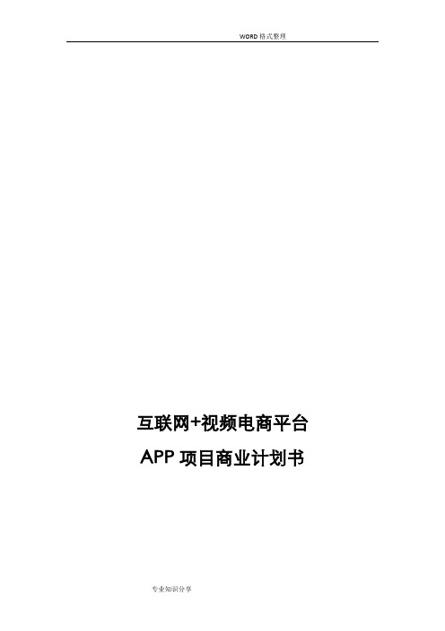 互联网+电商平台APP项目商业实施计划书模板