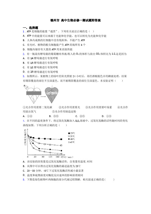 德州市 高中生物必修一测试题附答案