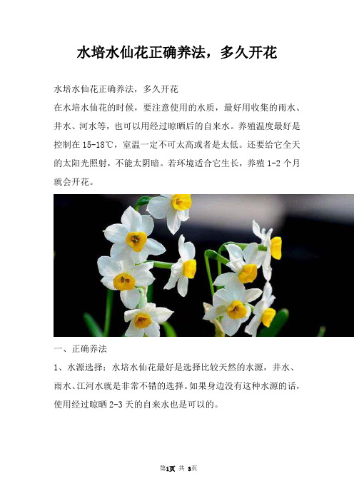 水培水仙花正确养法,多久开花