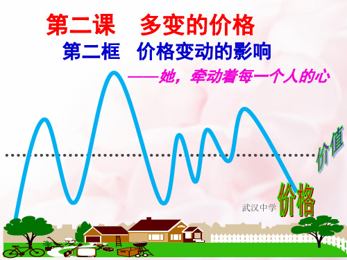 人教版高中政治必修一课件：1.2.2价格变动的影响