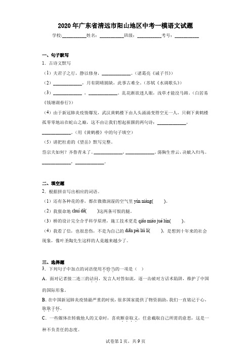 2020年广东省清远市阳山地区中考一模语文试题
