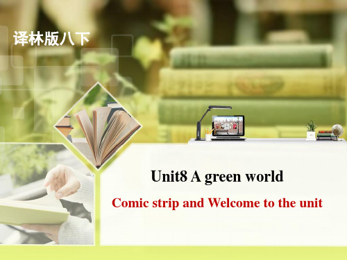 译林版英语八年级下册Unit8Comic_strip_andWelcometotheunit名师课件