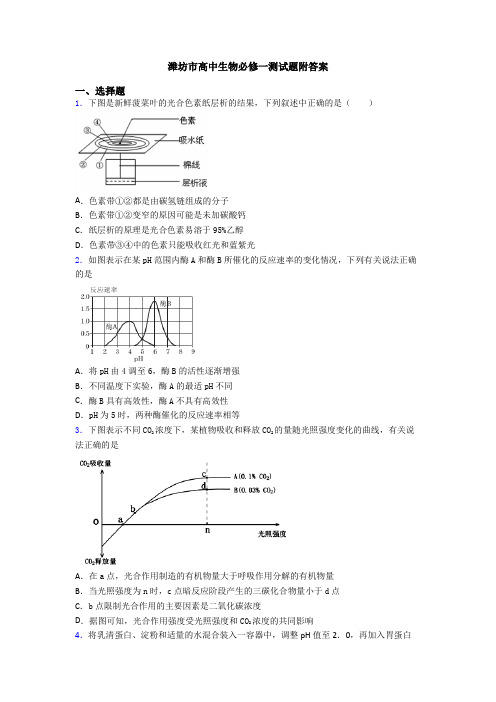 潍坊市高中生物必修一测试题附答案