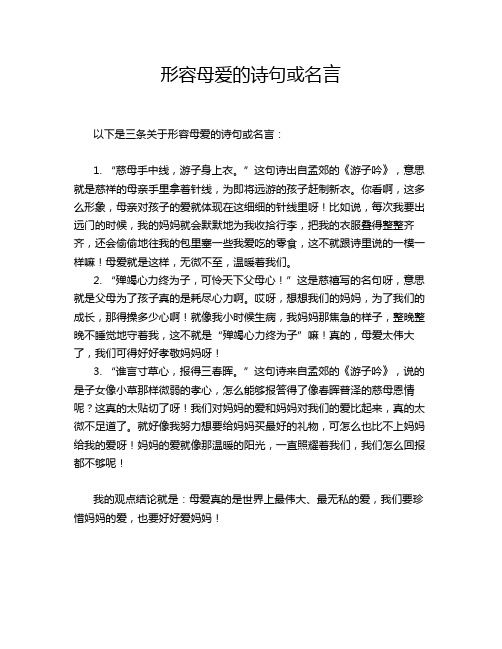 形容母爱的诗句或名言