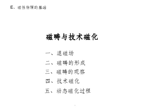 e磁性物理的基础-磁畴与技术磁化ppt课件