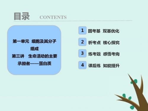 高考生物一轮复习课件第一单元 第三讲 生命活动的主要承担者——蛋白质