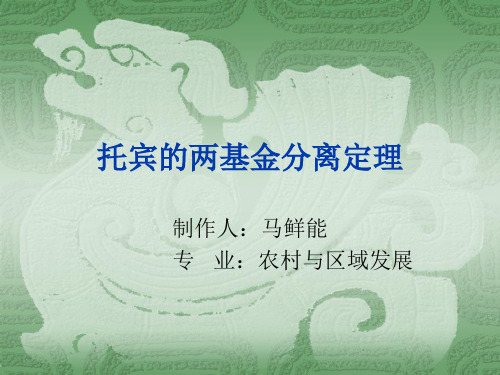 金融学第六章托宾的两基金分离定理(可修改).ppt