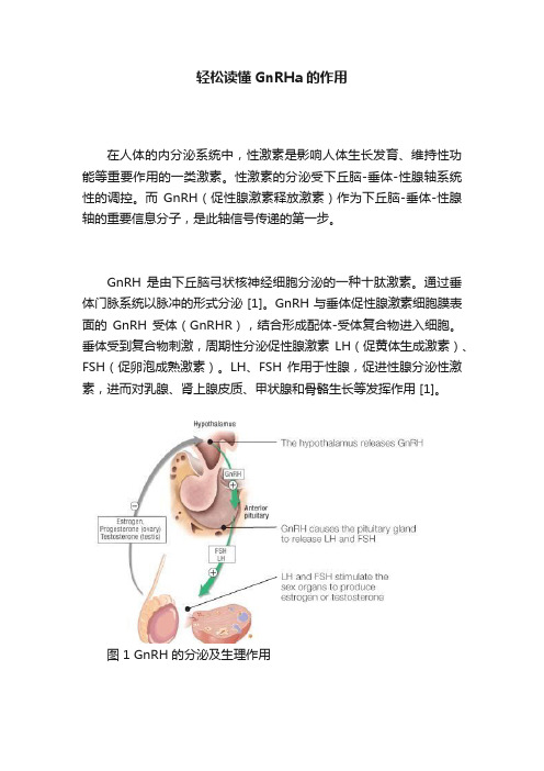 轻松读懂GnRHa的作用