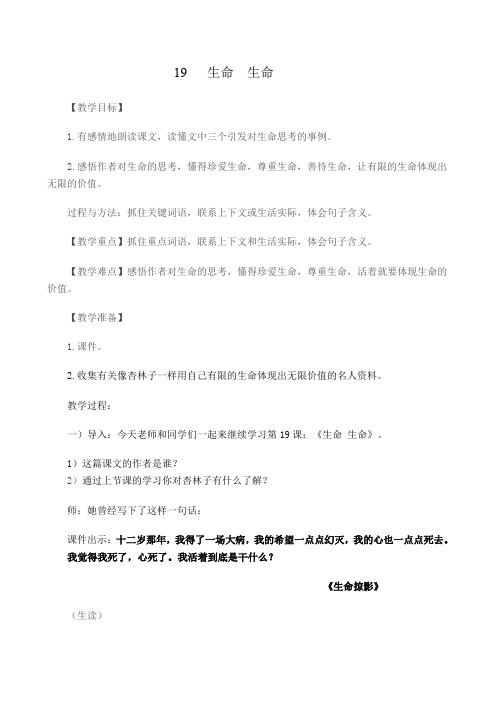 《生命 生命》教案