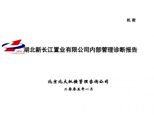 【内部管理】北大纵横—湖北新长江地产湖北新长江内部管理诊断报告