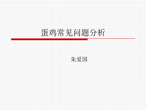 蛋鸡常见问题分析