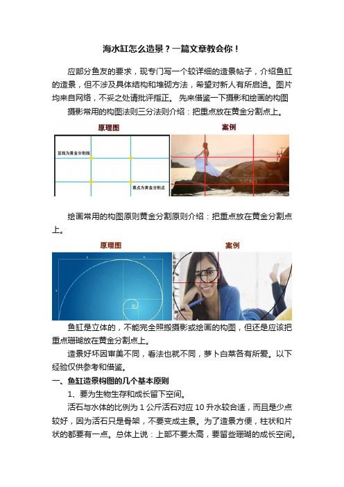 海水缸怎么造景？一篇文章教会你！