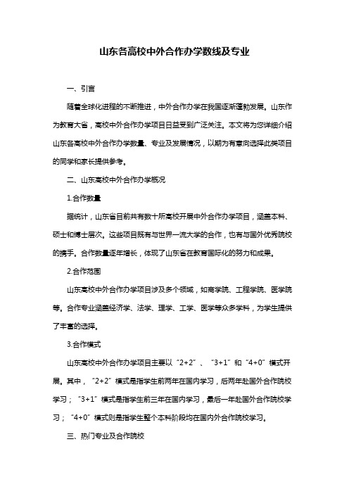 山东各高校中外合作办学数线及专业