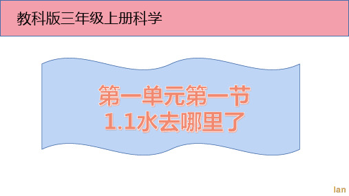 三年级上册科学课件1.1水到哪里去了教科版(共12张PPT)