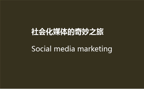 企业社会化媒体营销