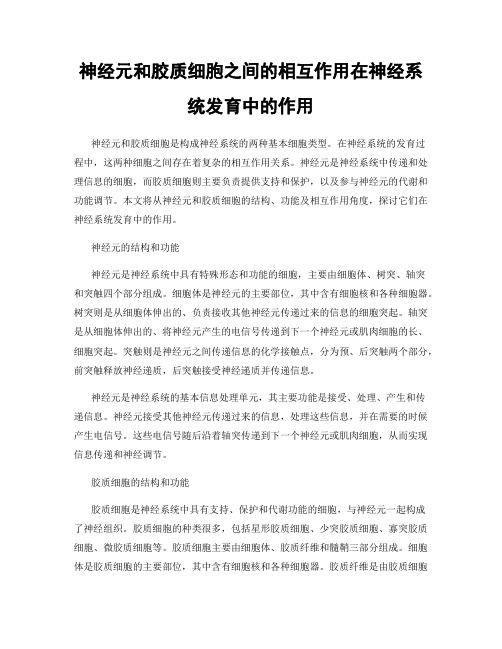 神经元和胶质细胞之间的相互作用在神经系统发育中的作用