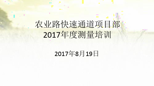 道路测量培训资料 PPT