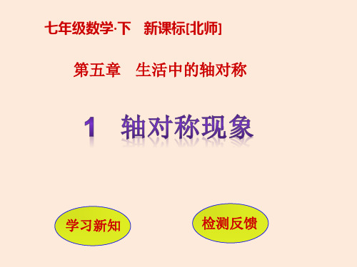 七年级数学北师大版下册课件：5.1  轴对称现象 (共10张PPT)