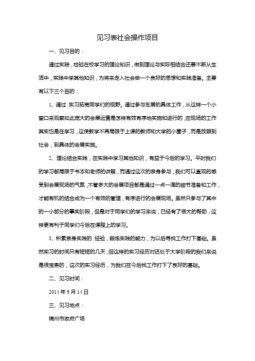 见习表社会操作项目