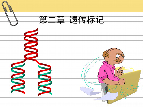 生物学第二章 遗传标记1