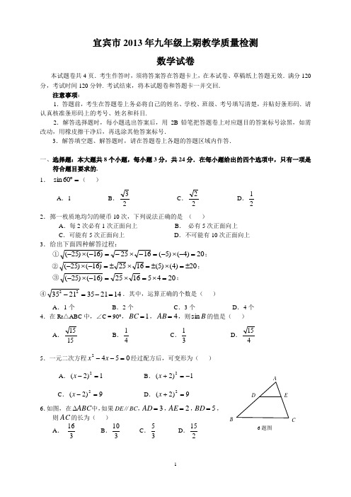 宜宾市2013年九年级上期教学质量检测及答案