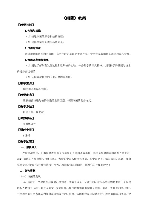 人教版八年级生物上册5.4.2《细菌》教案