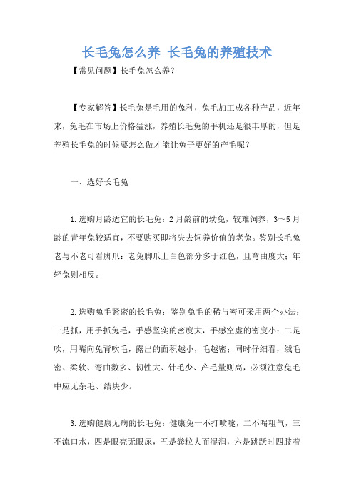 长毛兔怎么养 长毛兔的养殖技术