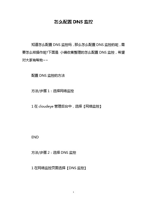 怎么配置DNS监控