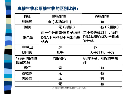 真核生物和原核生物的区别比较PPT课件