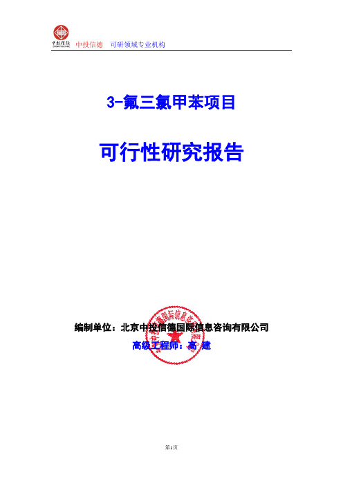 3-氟三氯甲苯项目可行性研究报告编制格式说明(模板型word)