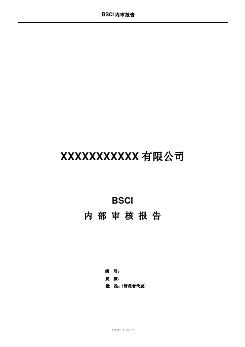 BSCI内部审核报告