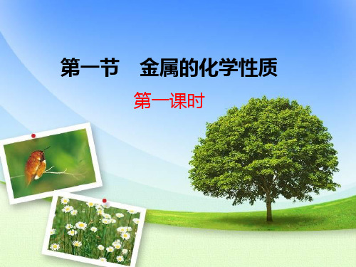 高中化学复习-金属的化学性质