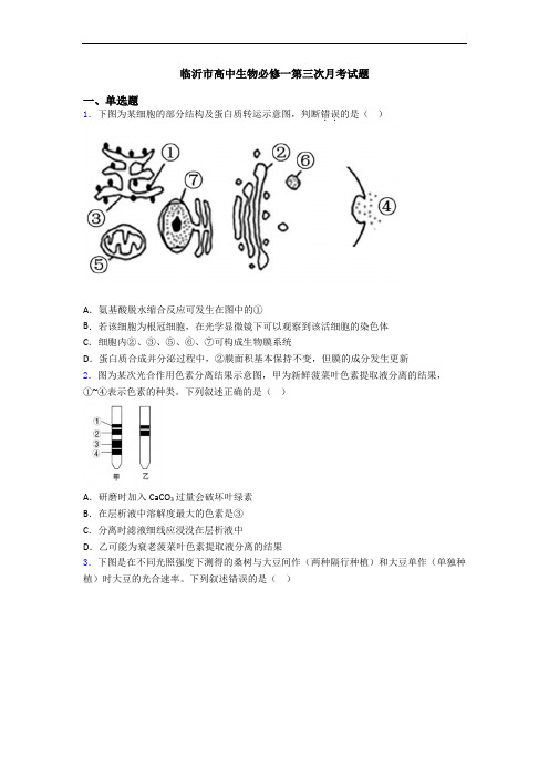 临沂市高中生物必修一第三次月考试题