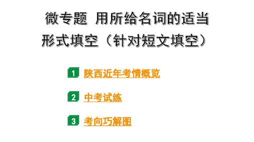 2024陕西中考英语二轮复习 微专题 用所给名词的适当形式填空(针对短文填空)(课件)