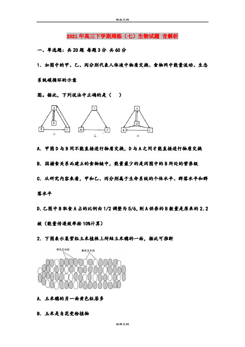 2021年高三下学期周练(七)生物试题 含解析