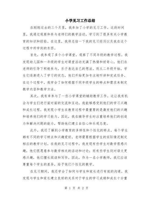 小学见习工作总结