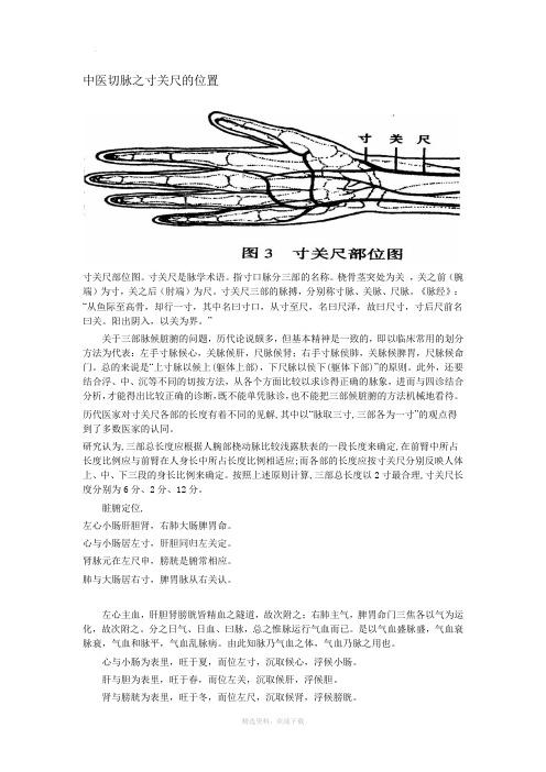 中医切脉之寸关尺的位置