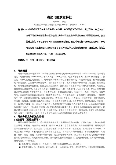 马的演化特征(最全)word资料