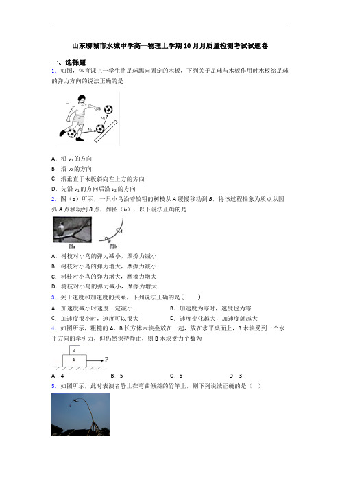 山东聊城市水城中学高一物理上学期10月月质量检测考试试题卷