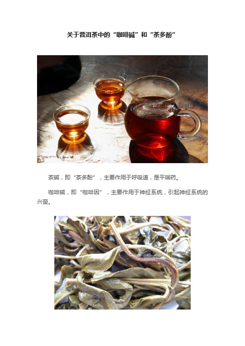 关于普洱茶中的“咖啡碱”和“茶多酚”