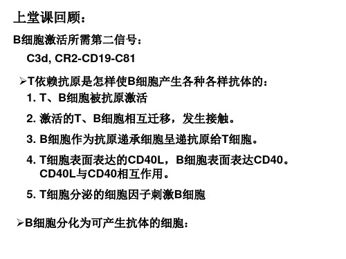 中科院细胞与分子免疫学课程chapter10 ppt课件(1)