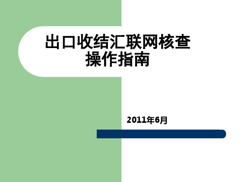 联网核查相关ppt课件
