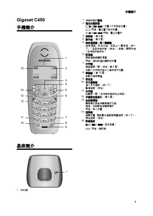 西门子 Gigaset C450 说明书