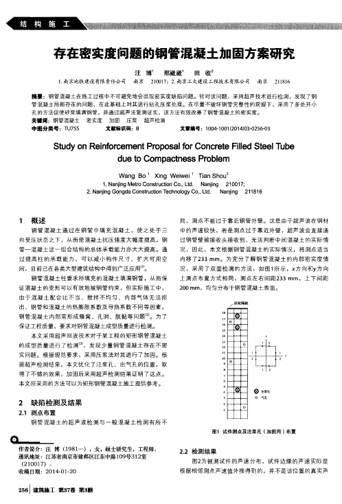 存在密实度问题的钢管混凝土加固方案研究