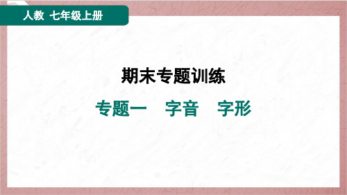 2024年秋季部编版七年级上册语文期末复习专题一字音、字形