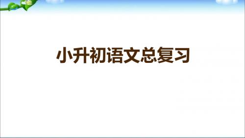 小升初语文知识点专项复习《句子》课件