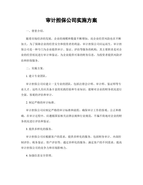 审计担保公司实施方案