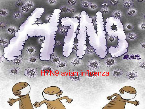 H7N9__英语